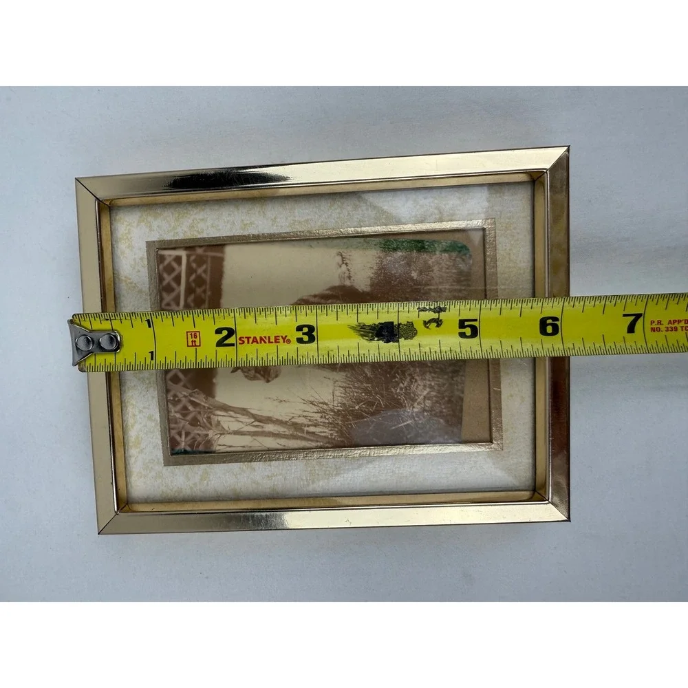 Vintage Sepia Cat Print in Gold Tone Metal Picture Frame 4.75 x 6.25